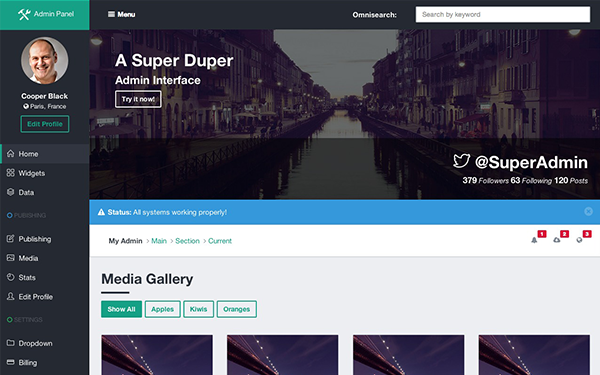 Bootstrap theme Theorem - Bootstrap Admin Interface