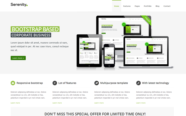 Bootstrap theme Serenity Responsive Multipurpose Theme